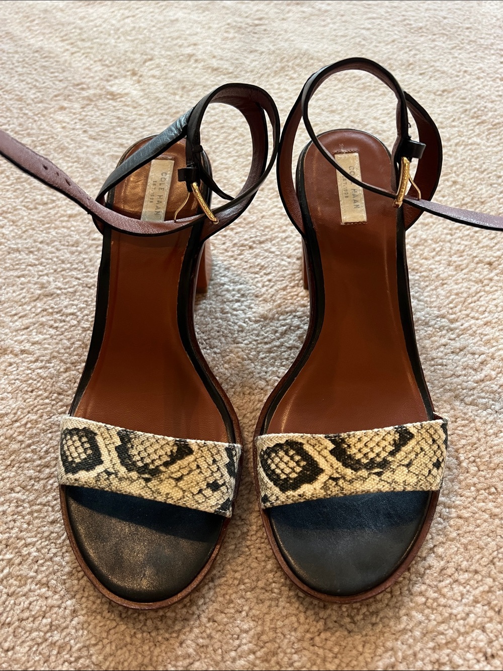 Cole Haan Black Sandal with Snake-Print Strap and Gold Buckle